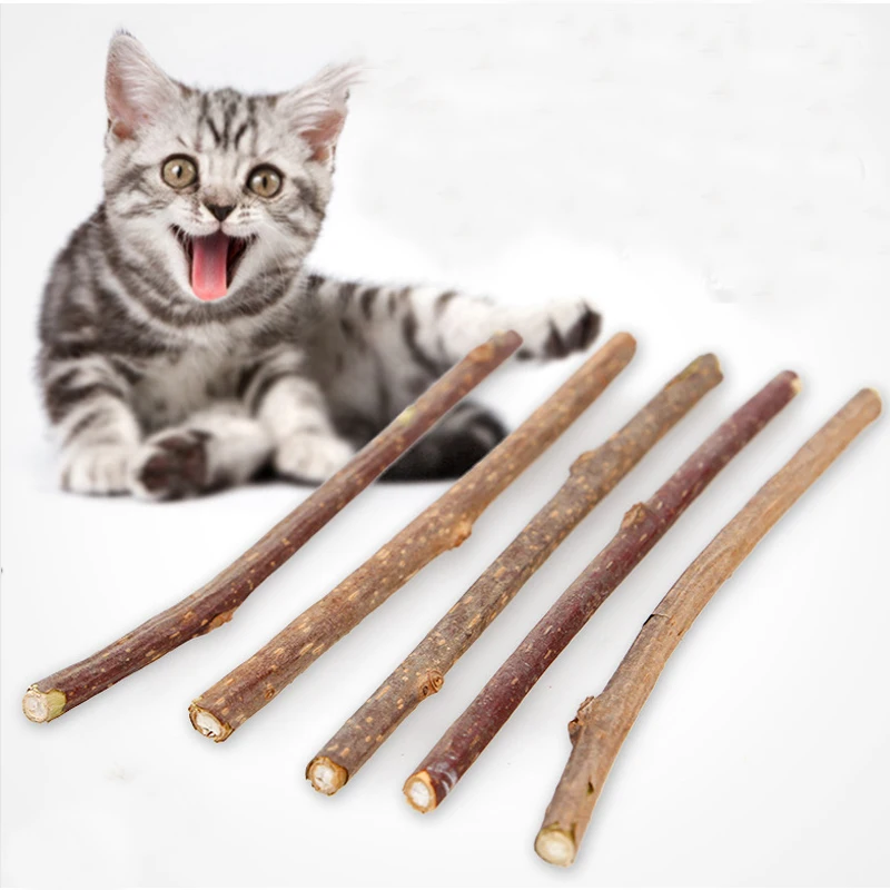 5/10pcs Cat Cleaning Teeth Natural Catnip Pet Cat Molar Toothpaste Stick Actinidia Fruit Silvervine Cat Snacks Sticks
5/10pcs Cat Cleaning Teeth Natural Catnip Pet Cat Molar Toothpaste Stick Actinidia Fruit Silvervine Cat Snacks Sticks