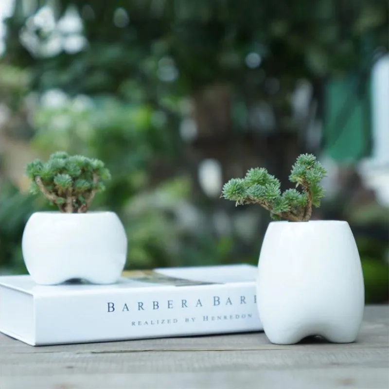 Innovative White Ceramic Tooth Shape Succulent Plants Flower Pot Modern Design Planter Basket Flower Vase Micro landscape Decor
Innovative White Ceramic Tooth Shape Succulent Plants Flower Pot Modern Design Planter Basket Flower Vase Micro landscape Decor