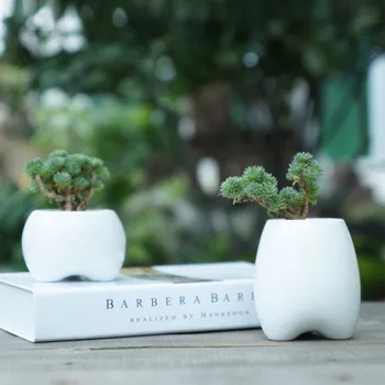 Innovative White Ceramic Tooth Shape Succulent Plants Flower Pot Modern Design Planter Basket Flower Vase Micro landscape Decor
Innovative White Ceramic Tooth Shape Succulent Plants Flower Pot Modern Design Planter Basket Flower Vase Micro landscape Decor