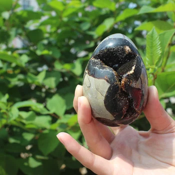 350g Natural curvature of the furnishing articles Turtle grain stone egg Ball Septarian nodule Fossil Crystal Healing quartz 07
350g Natural curvature of the furnishing articles Turtle grain stone egg Ball Septarian nodule Fossil Crystal Healing quartz 07