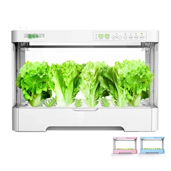 Oxygen Supply Electronic Water Cultivate Vegetable Seed Planting Enclosed Case Box Soilless Soil-Free Cultivation Equipment
Oxygen Supply Electronic Water Cultivate Vegetable Seed Planting Enclosed Case Box Soilless Soil-Free Cultivation Equipment