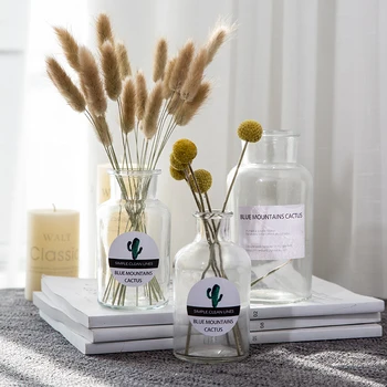 Ins Dry Flower Table Vase Nordic Plant Transparnt Glass Vase Bpttle Vogue Home Desk Decoration Fresh Floral Storage Container
Ins Dry Flower Table Vase Nordic Plant Transparnt Glass Vase Bpttle Vogue Home Desk Decoration Fresh Floral Storage Container