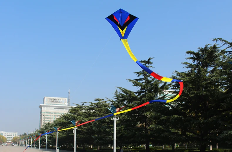 Eagle Kite Single Line Novelty Animal Kites Children's Outdoor Toy Huge 1.1m RS
