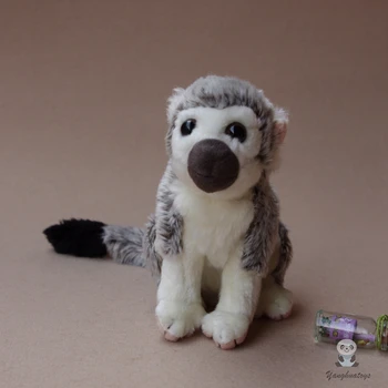 Squirrel Monkeys Doll Children's Toys Plush Stuffed Animal Toy Cute Gifts Dolls Good Quality
Squirrel Monkeys Doll Children's Toys Plush Stuffed Animal Toy Cute Gifts Dolls Good Quality
