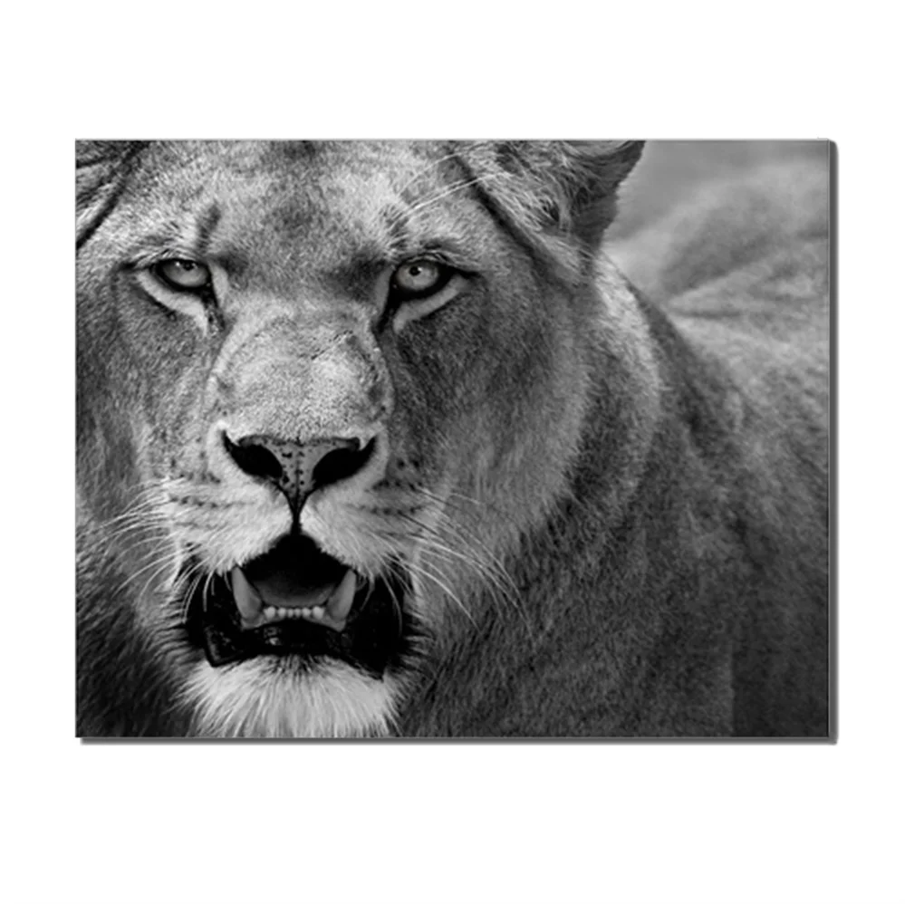 Lion Wild Animal Abstract Canvas Poster Modern Oil Painting For Living Room Bedroom Home Wedding Decoration Accessories No Frame | Дом и сад
