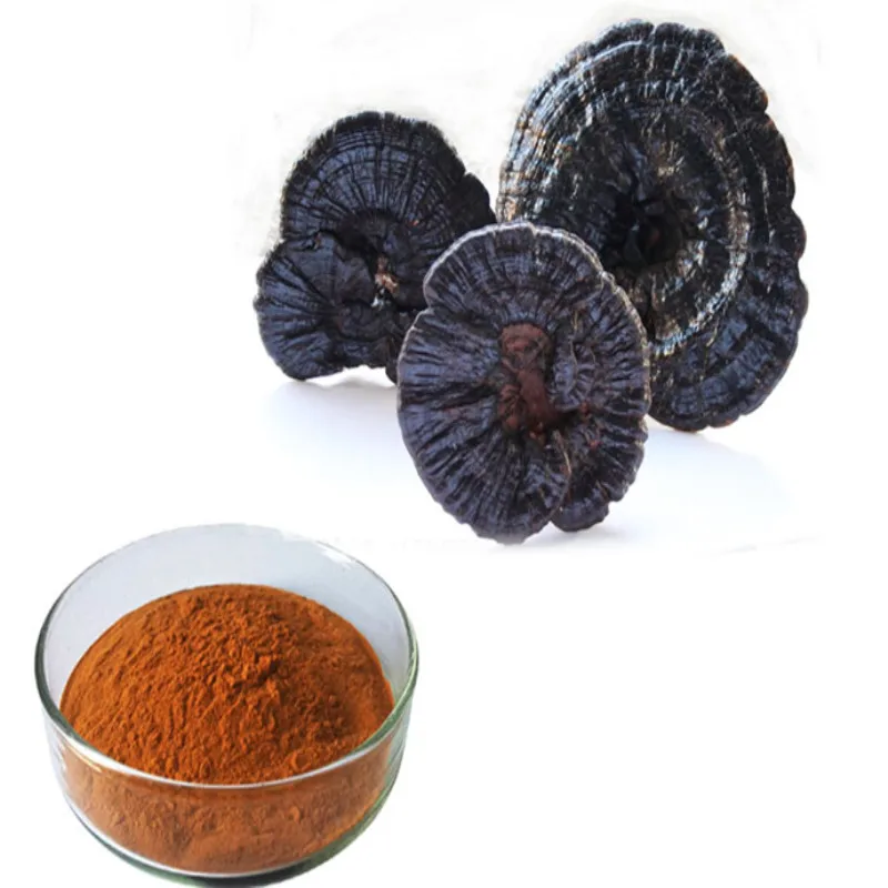 Reishi Mushroom Spore Powder Wall-Broken Pure Ganoderma Lucidum Non-GMO free shipping
Reishi Mushroom Spore Powder Wall-Broken Pure Ganoderma Lucidum Non-GMO free shipping