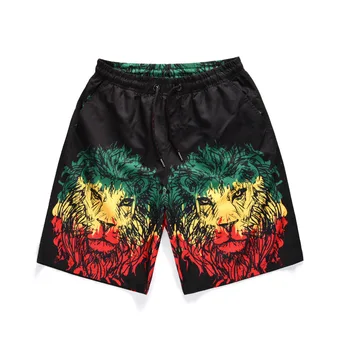 Mr.1991INC Quick Drying Men Beach Shorts Creative 3D line draft lion print Board Shorts Male bermuda de praia Boardshorts