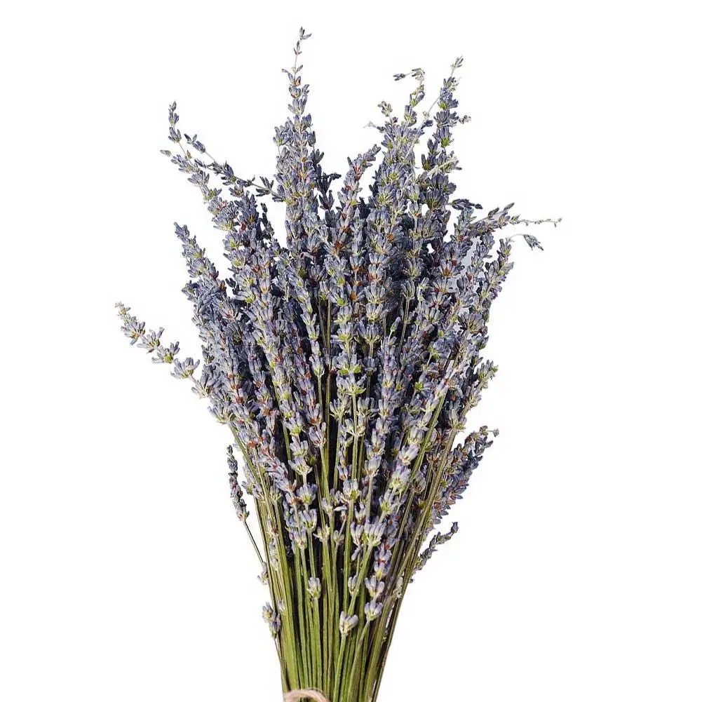 1Pc Natural Lavender Bouquet Artificial Flower Immortal Fresh Dried Flowers DIY Home Office Banquet Wedding Decoration Ornaments
1Pc Natural Lavender Bouquet Artificial Flower Immortal Fresh Dried Flowers DIY Home Office Banquet Wedding Decoration Ornaments