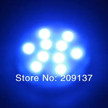 party decoration gift light nature white rgb colorful warterproof led atmosphere lamp+Remote Control use aaa battery
party decoration gift light nature white rgb colorful warterproof led atmosphere lamp+Remote Control use aaa battery