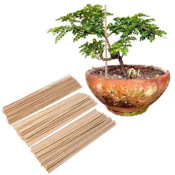 50 Wooden Plant Grow Support Bamboo Plant Sticks Garden Canes Plants Flower Support Stick Cane
50 Wooden Plant Grow Support Bamboo Plant Sticks Garden Canes Plants Flower Support Stick Cane