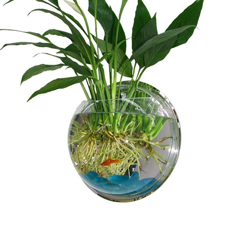 Creative Wall Mounted Aquarium Mini Aquarium Mural Water Cultured Flowerpot Office Eco Ornamental Aquarium Diameter 25cm
Creative Wall Mounted Aquarium Mini Aquarium Mural Water Cultured Flowerpot Office Eco Ornamental Aquarium Diameter 25cm