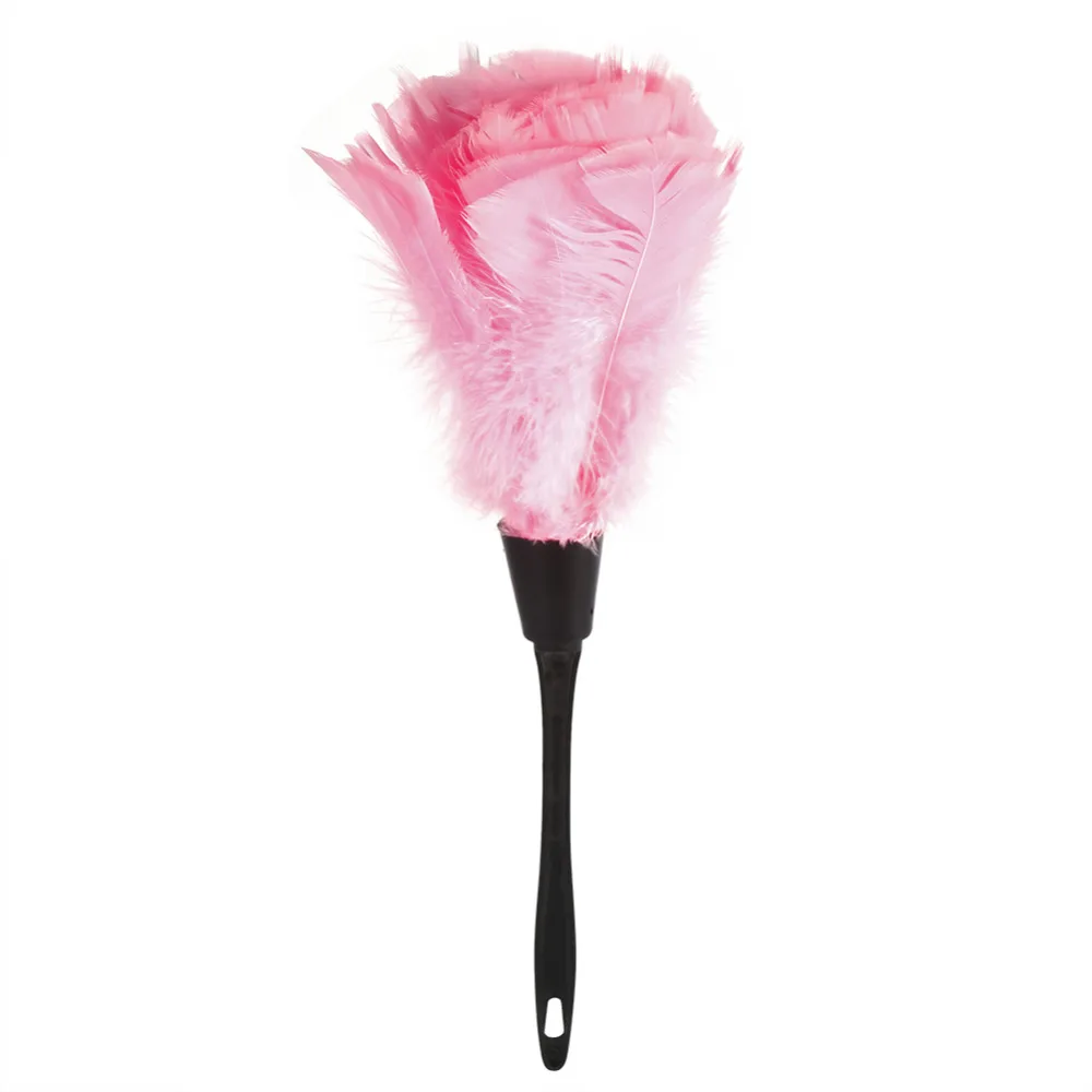 Household Cleaning Tools Turkey Feather Duster Cleaner Brush Soft Microfiber Dusting Brush Cleaning Dust Feather Duster
Household Cleaning Tools Turkey Feather Duster Cleaner Brush Soft Microfiber Dusting Brush Cleaning Dust Feather Duster