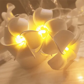 1.5/3/4M Creative DIY Frangipani LED String Lights Floral Holiday Lighting Event Party Garland Decoration Bedroom Decoration
1.5/3/4M Creative DIY Frangipani LED String Lights Floral Holiday Lighting Event Party Garland Decoration Bedroom Decoration