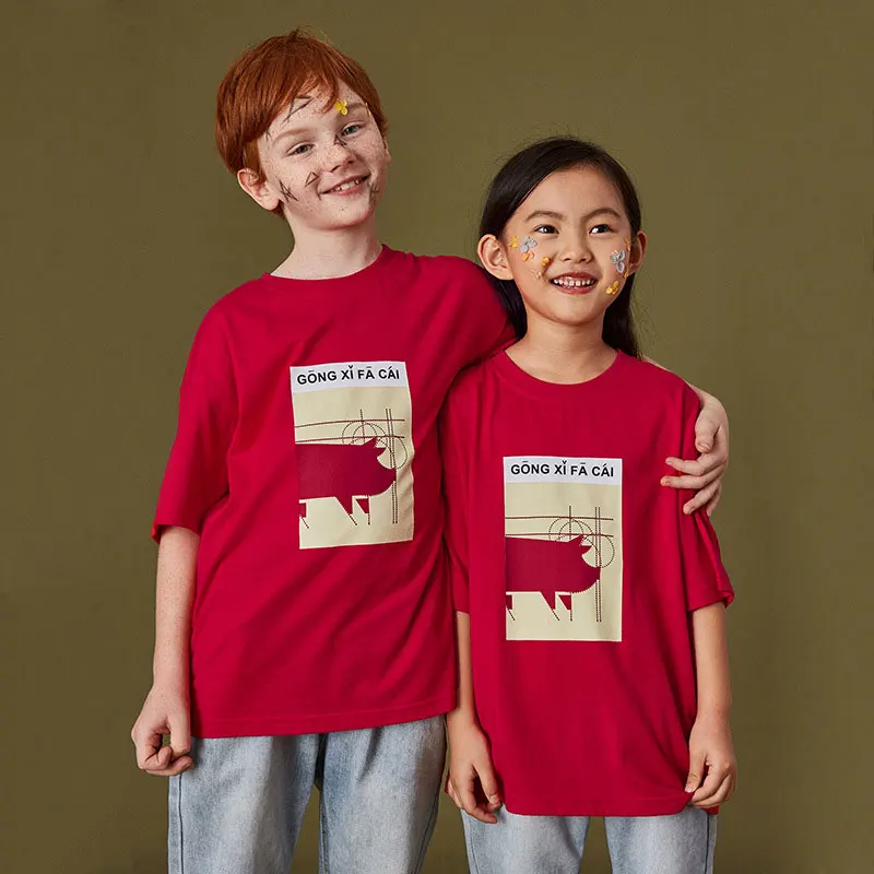 New Summer Chinese Style Boy t-shirt Cotton Pig Pattern Girl t-shirt Breathable Loose Shirt New Year Red Unisex Streetwear Tops
New Summer Chinese Style Boy t-shirt Cotton Pig Pattern Girl t-shirt Breathable Loose Shirt New Year Red Unisex Streetwear Tops