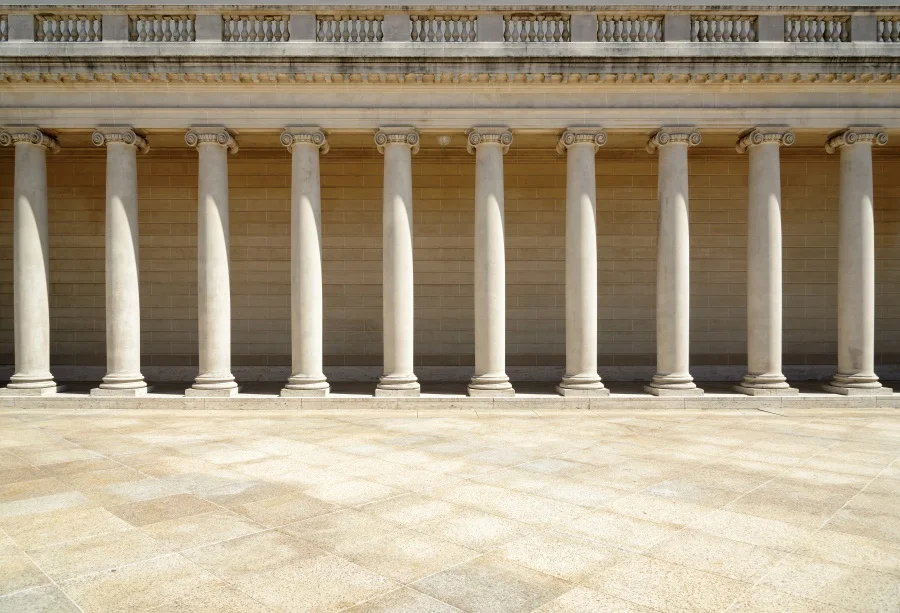 Laeacco Palace Exterior Pillars Photography Background Customized Photographic Backdrops For Photo Studio
Laeacco Palace Exterior Pillars Photography Background Customized Photographic Backdrops For Photo Studio