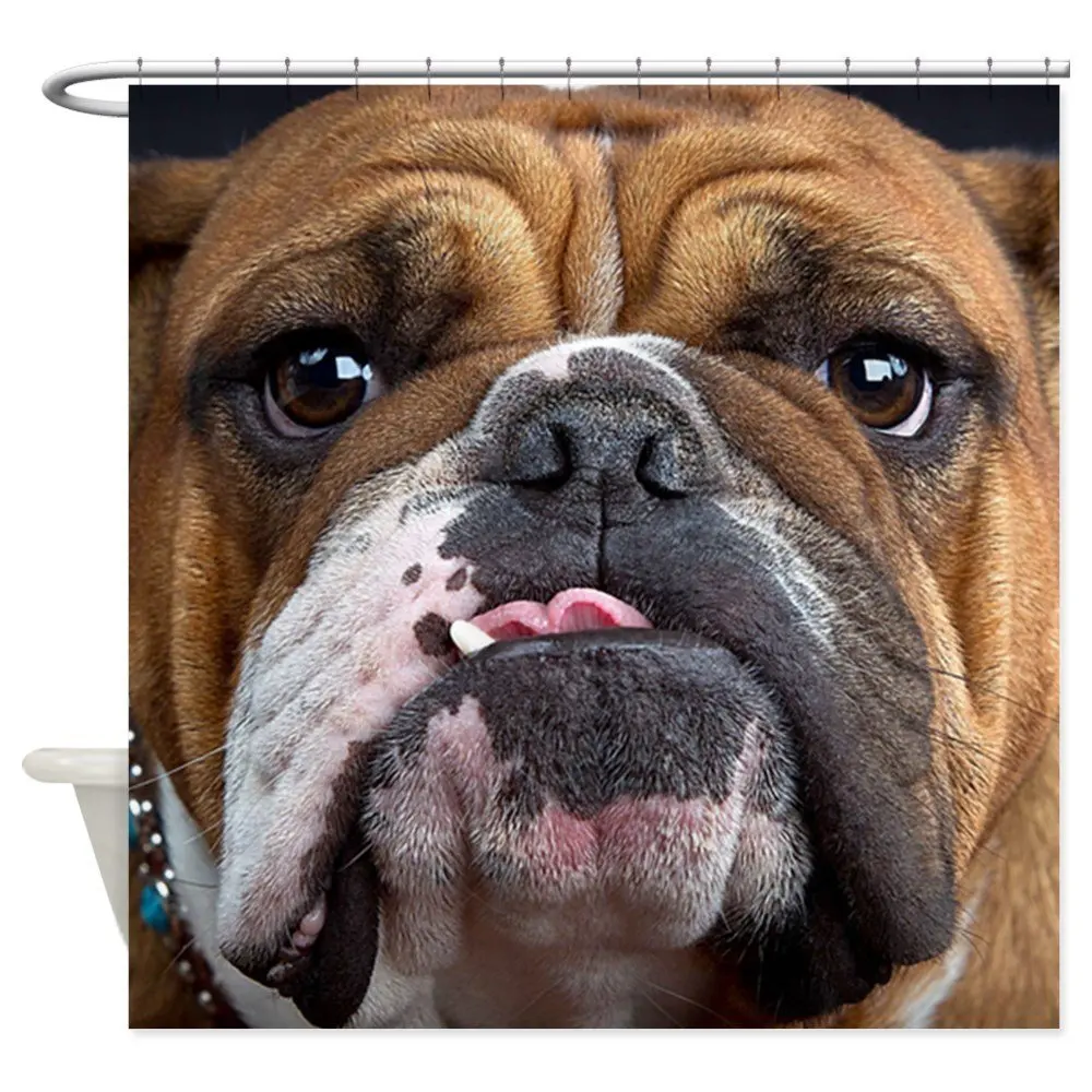 English Bulldog Decorative Fabric Shower Curtain Set and Anti-slip Floor Mat Outdoor Rugs
English Bulldog Decorative Fabric Shower Curtain Set and Anti-slip Floor Mat Outdoor Rugs