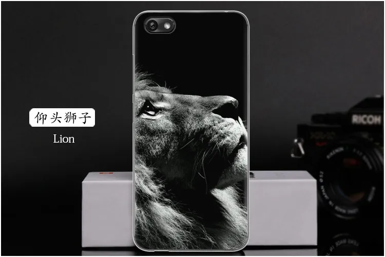 Lion