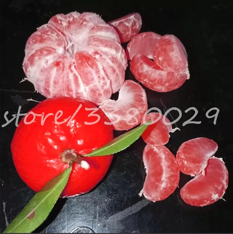 20pcs bonsai Red Orange tree plants rare fruit perennial potted plants for home garden planting
20pcs bonsai Red Orange tree plants rare fruit perennial potted plants for home garden planting