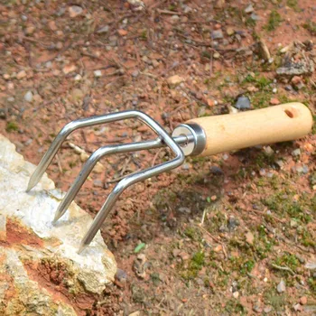 Mini Stainless Steel Rake Short Firm Grip Claw Rake Garden Tool Gardening Gardenia Garden Loose Soil Vegetable
Mini Stainless Steel Rake Short Firm Grip Claw Rake Garden Tool Gardening Gardenia Garden Loose Soil Vegetable