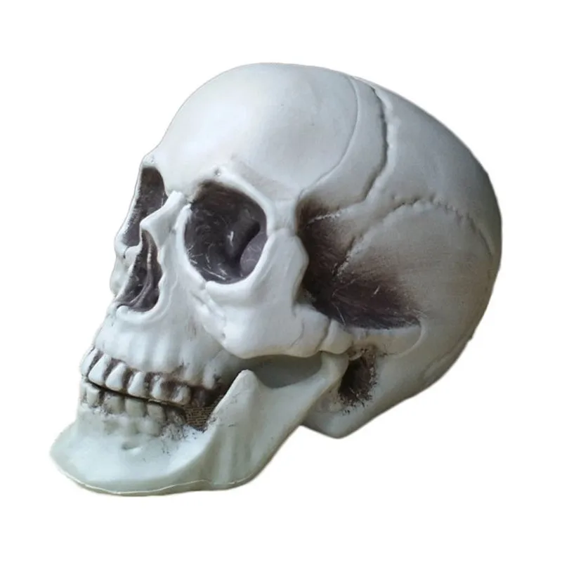 Cosplay&ware All Size Human Skull Head Skeleton Halloween Style Prop Home Party Movie Bar Coffee Haunted Decors 9 Cosplay&ware All Size Human Skull Head Skeleton Halloween Style Prop Home Party Movie Bar Coffee Haunted Decors -Cosplayware Store