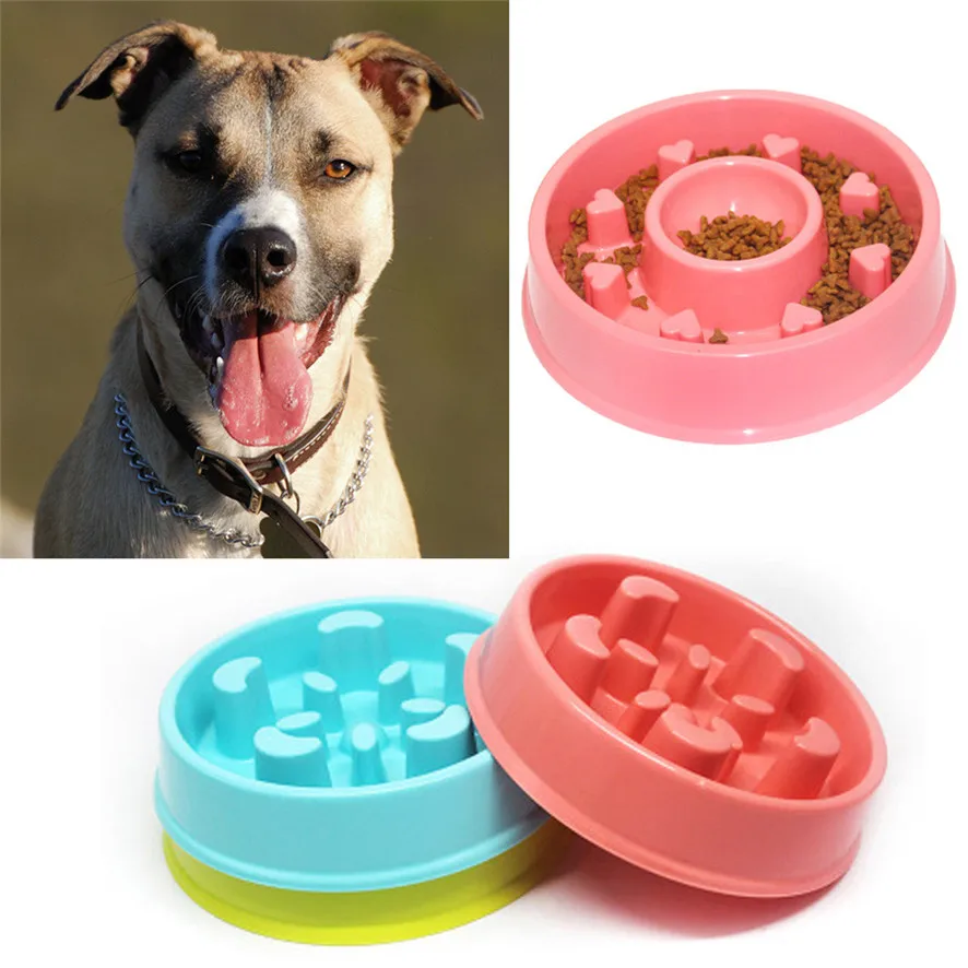 Zero 2017 New Anti Choke Pet Dog Bowl Feeder Slow Down Mangiare Feeder Dish Purchasing B7717
Zero 2017 New Anti Choke Pet Dog Bowl Feeder Slow Down Mangiare Feeder Dish Purchasing B7717