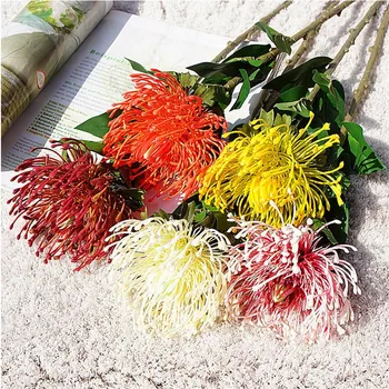 6Pcs Fake Single Pincushion Flowers 28.74" Length Simulation Leucospermum Spp for Wedding Home Decorative Artificial Flower
6Pcs Fake Single Pincushion Flowers 28.74" Length Simulation Leucospermum Spp for Wedding Home Decorative Artificial Flower