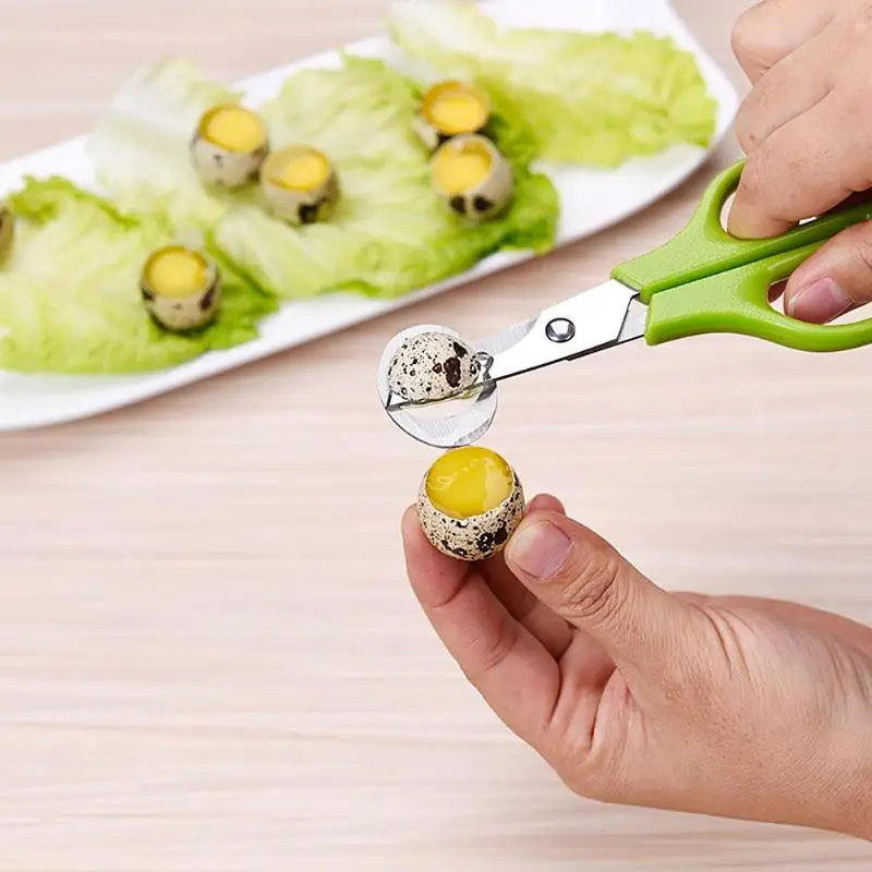Creative Stainless Steel Cut Whisk Egg Apparatus Pigeon Quail Egg Scissor Bird Opener Kitchen Tool Clipper Gen Eggshell Cutter
Creative Stainless Steel Cut Whisk Egg Apparatus Pigeon Quail Egg Scissor Bird Opener Kitchen Tool Clipper Gen Eggshell Cutter