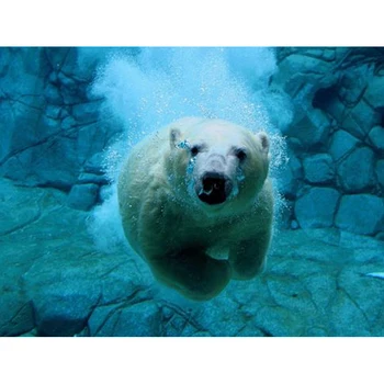 Cute Swim Polar Bear 5d diy Diamond Painting Full Round Rhinestone Embroidery Diamonds Mosaic Kits Cross Stitch Art Home Decor
Cute Swim Polar Bear 5d diy Diamond Painting Full Round Rhinestone Embroidery Diamonds Mosaic Kits Cross Stitch Art Home Decor