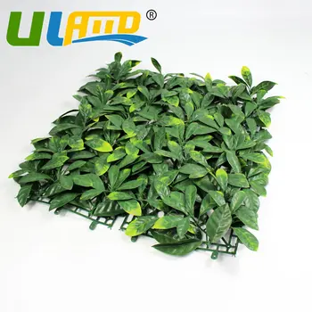 10"x10" Artificial European Laurel Greenery Panels 25x25cm Plastic Buxus Boxwood Mat Sythenic Garden Grass Fence Garden Ornament
10"x10" Artificial European Laurel Greenery Panels 25x25cm Plastic Buxus Boxwood Mat Sythenic Garden Grass Fence Garden Ornament