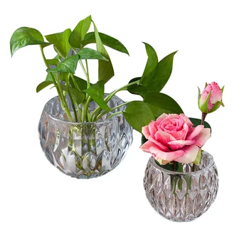 Crystal ball vase Home Decor Glass Flower Vase Terrarium Succulents Plant Gift Micro Landscape Cover and Water Culture Bottle
Crystal ball vase Home Decor Glass Flower Vase Terrarium Succulents Plant Gift Micro Landscape Cover and Water Culture Bottle