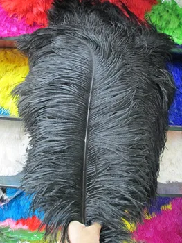 wholesale! 10pcs natural black ostrich feathers 22-24 inches / 55-60cm wedding and scenography
wholesale! 10pcs natural black ostrich feathers 22-24 inches / 55-60cm wedding and scenography