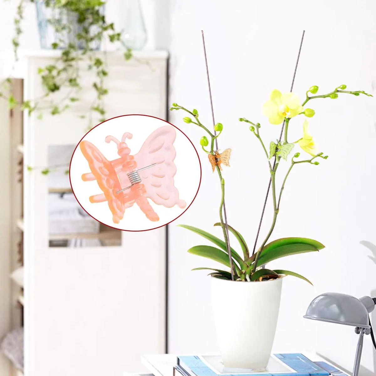 30Pcs Plant Clips Cute Dragonfly Garden Flower Support Orchid Clips Vines Fastener Buckle Hook Hair Greenhouse Grafting Clip
30Pcs Plant Clips Cute Dragonfly Garden Flower Support Orchid Clips Vines Fastener Buckle Hook Hair Greenhouse Grafting Clip