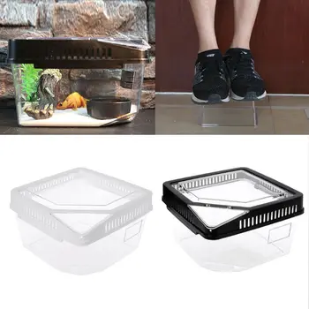 Plastic Container Reptile Feeding Box Spider Scorpion Insect Terrarium Breeding Box
Plastic Container Reptile Feeding Box Spider Scorpion Insect Terrarium Breeding Box