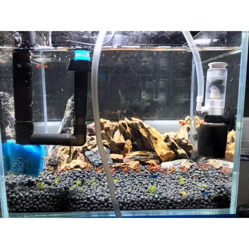Fish Tank Super Mute Small Pneumatic Filter Biochemical Sponge Corner Filter Aquarium Accessories
Fish Tank Super Mute Small Pneumatic Filter Biochemical Sponge Corner Filter Aquarium Accessories