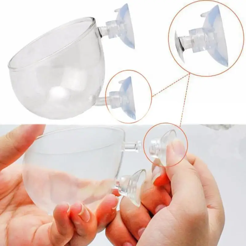 Water Plants Landscapes Pots Cups Mini Red Shrimp Aquarium Fish Tank Aquatic Crystal Glass Pot Plant Cup Holder #05
Water Plants Landscapes Pots Cups Mini Red Shrimp Aquarium Fish Tank Aquatic Crystal Glass Pot Plant Cup Holder #05