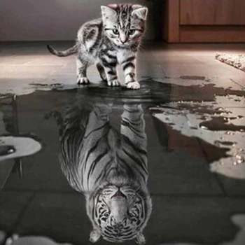 Square diy diamond embroidery painting animals of cat to tiger home decoration wall painting of diamond mosaic painting
Square diy diamond embroidery painting animals of cat to tiger home decoration wall painting of diamond mosaic painting