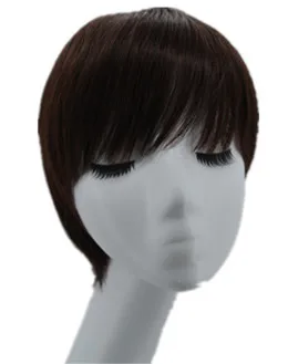 Fei-Show Short Brown Wig Synthetic Heat Resistant Fiber Wavy Hair Man Hairpiece Male/Female Perruque Peruca Party Salon Hairsets
Fei-Show Short Brown Wig Synthetic Heat Resistant Fiber Wavy Hair Man Hairpiece Male/Female Perruque Peruca Party Salon Hairsets
