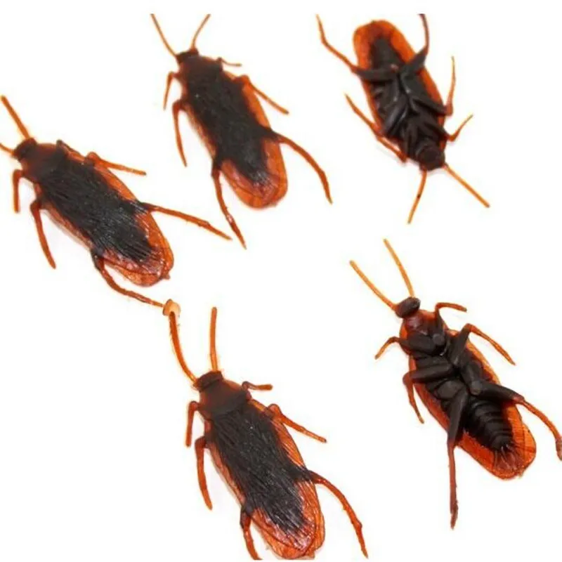 10pcs Funny Fake Cockroach Halloween Decoration Horror Jokes Pranks Maker Fun Novelty Tricks Simulation False Cockroach Toys
10pcs Funny Fake Cockroach Halloween Decoration Horror Jokes Pranks Maker Fun Novelty Tricks Simulation False Cockroach Toys
