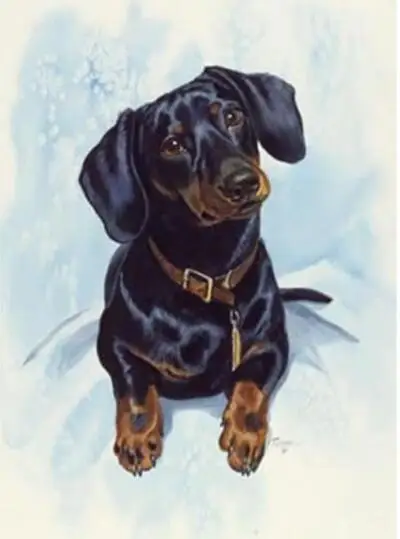 Full Square Diamond 5D DIY Diamond Painting "Dog Dachshund" Embroidery Cross Stitch Rhinestone Mosaic Painting Home Decor
Full Square Diamond 5D DIY Diamond Painting "Dog Dachshund" Embroidery Cross Stitch Rhinestone Mosaic Painting Home Decor