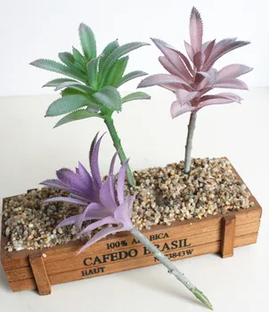 New Simulation Succulents Plants Tequila Plastic Flower Diy Wedding Home Garden Party Office Decoration No Flowerpot 5pcs/lot
New Simulation Succulents Plants Tequila Plastic Flower Diy Wedding Home Garden Party Office Decoration No Flowerpot 5pcs/lot