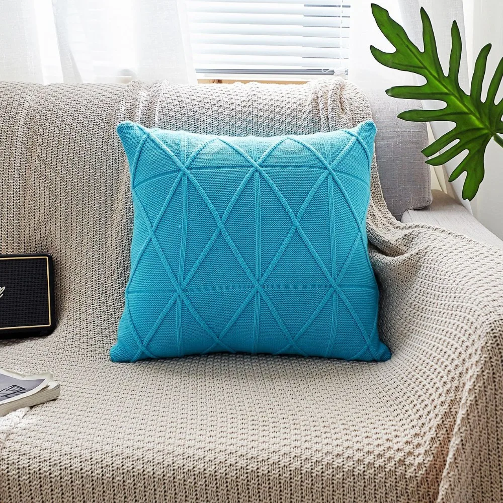 cushion cover (13)
