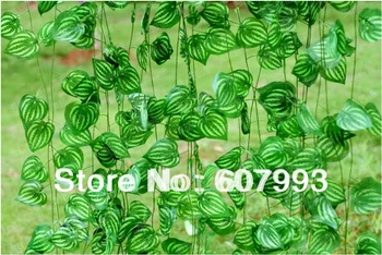 Simulation greenery plant, artificial silk ivy,fabric vine, faux home garden party decoration, 94PCS, Express shipping
Simulation greenery plant, artificial silk ivy,fabric vine, faux home garden party decoration, 94PCS, Express shipping