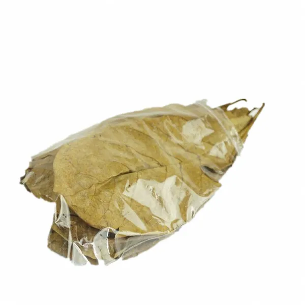 Grade A Natural Terminalia Catappa Foetida Leaves Island Almond Leaf Crystal Shrimp Improve Water Quality
Grade A Natural Terminalia Catappa Foetida Leaves Island Almond Leaf Crystal Shrimp Improve Water Quality
