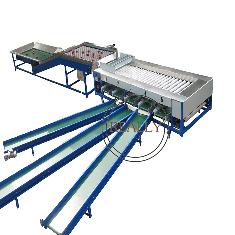 custom orange washing and roller sorter machine tomato sorting machine for fruit
custom orange washing and roller sorter machine tomato sorting machine for fruit