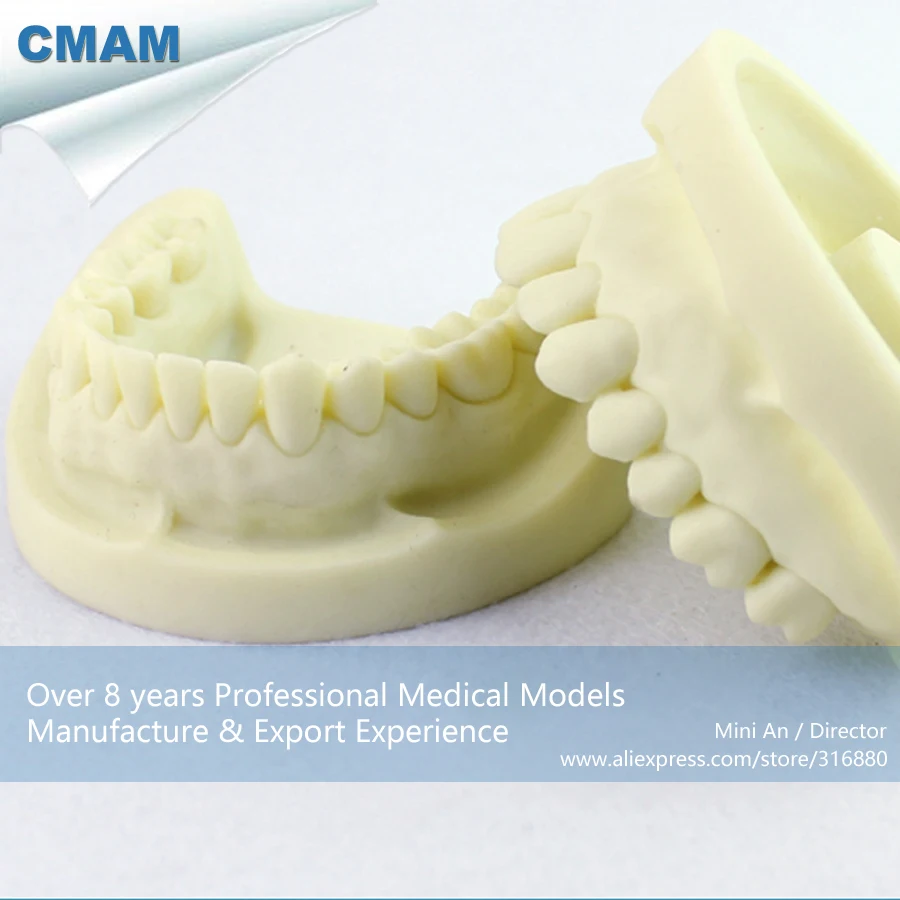 12564 / CMAM-DENTAL05 Tooth Prepared Practice Dental Model, Medical Science Educational Teaching Anatomical Models
12564 / CMAM-DENTAL05 Tooth Prepared Practice Dental Model, Medical Science Educational Teaching Anatomical Models