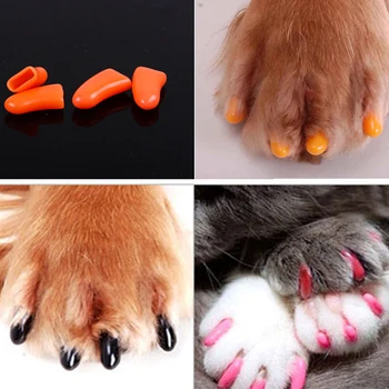 Pet Cat Accessories 20pcs Soft Pet Nail Covers Cat Nail Caps Pet Claw Paws Cover Caps with Free Glue and Applicator Protection
Pet Cat Accessories 20pcs Soft Pet Nail Covers Cat Nail Caps Pet Claw Paws Cover Caps with Free Glue and Applicator Protection