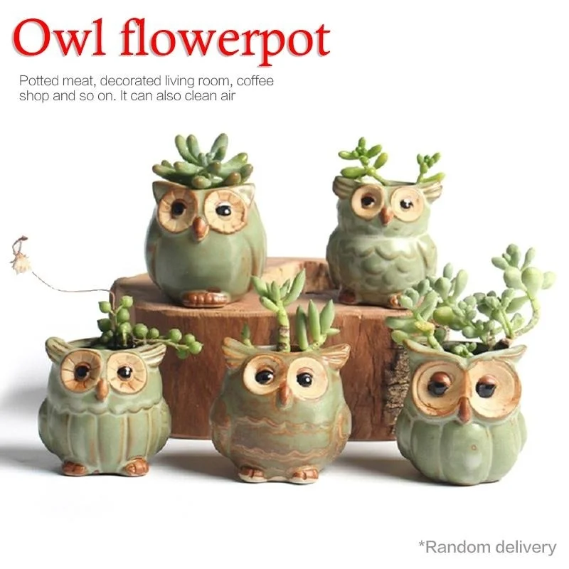 Cartoon Owl Shaped Succulent Plant Ceramic Flower Pot Home Decoration Potted Plants(Random Styles)
Cartoon Owl Shaped Succulent Plant Ceramic Flower Pot Home Decoration Potted Plants(Random Styles)