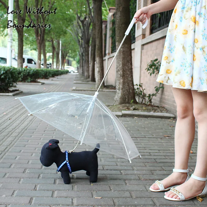 Hot Pet Protective Rain Umbrella Fashion Sunny Umbrella Have A Tring For Walk For Dog Pet Raincoat Dog Rope Dog Collar
Hot Pet Protective Rain Umbrella Fashion Sunny Umbrella Have A Tring For Walk For Dog Pet Raincoat Dog Rope Dog Collar