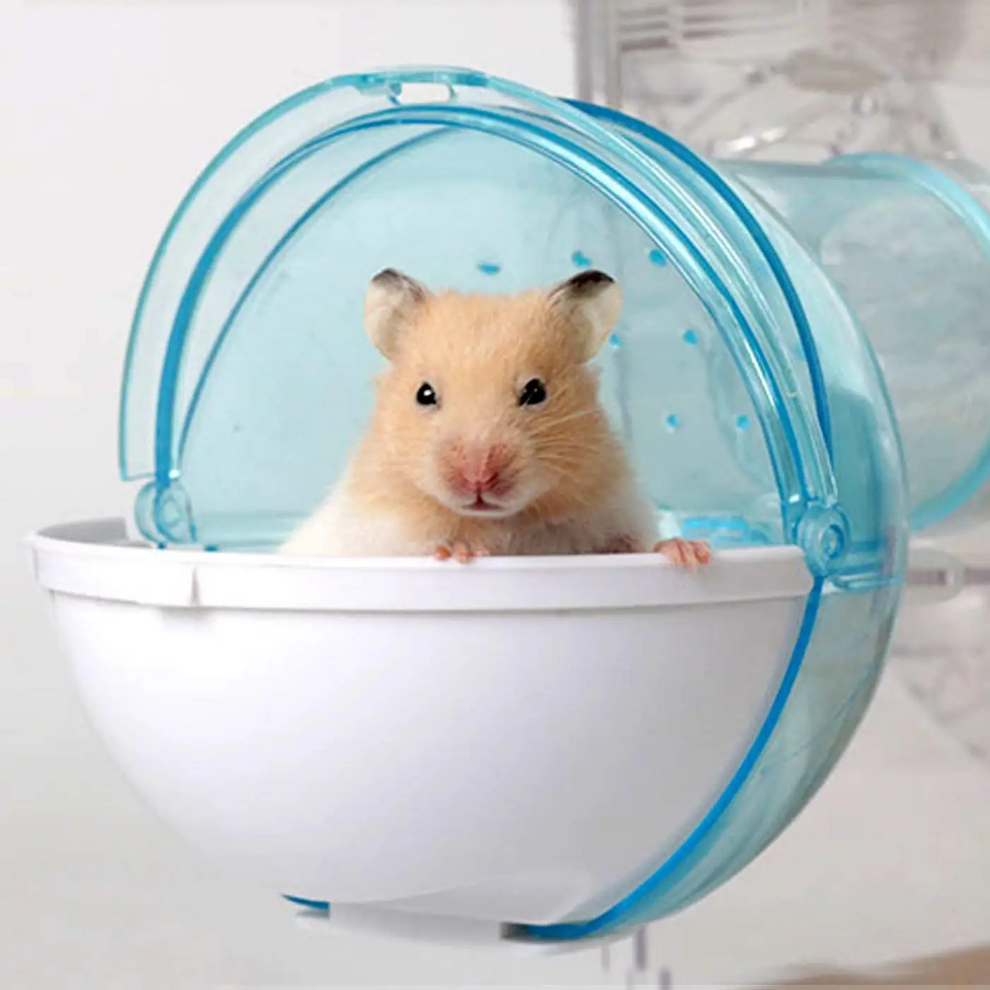 Small Pet Bating Tool Hamster Sand Room Eco-friendly Hamster Bathroom House Harmless Chinchilla Bath House
Small Pet Bating Tool Hamster Sand Room Eco-friendly Hamster Bathroom House Harmless Chinchilla Bath House