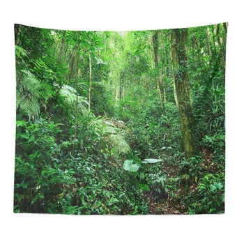 Home decoration Misty Forest Tapestry Wall Hanging For Bedroom Living Room Nature Landscape Tapestry Sunshine Tree Tapestries
Home decoration Misty Forest Tapestry Wall Hanging For Bedroom Living Room Nature Landscape Tapestry Sunshine Tree Tapestries